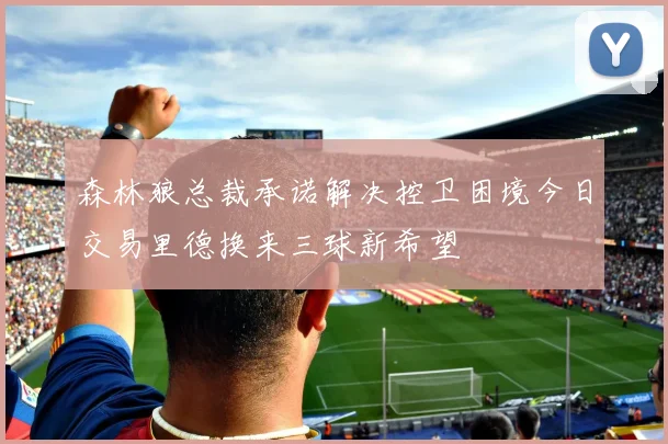 森林狼总裁承诺解决控卫困境今日交易里德换来三球新希望